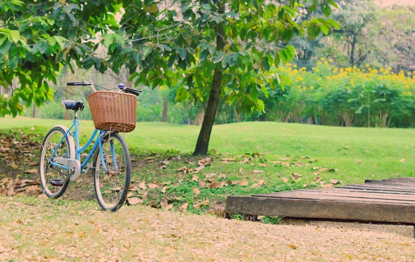 Винтажный велосипед ждет возле дерева, в винтажном ретро-тоне — стоковое фото