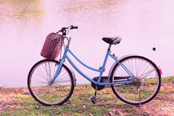 Vintage bicycle waiting near tree, in vintage retro tone — Stock Photo, Image