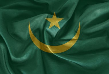 Moritanya bayrak desen kumaş doku