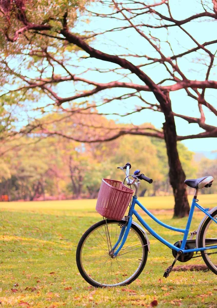 Vintage bicycle waiting near tree — Stock Photo, Image