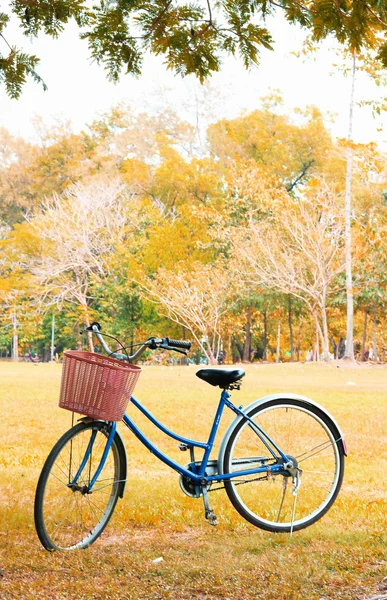 Oldtimer-Fahrrad wartet am Baum, im Retro-Vintageton — Stockfoto
