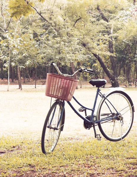 Vintage bicycle waiting near tree, in vintage retro tone — Stock Photo, Image