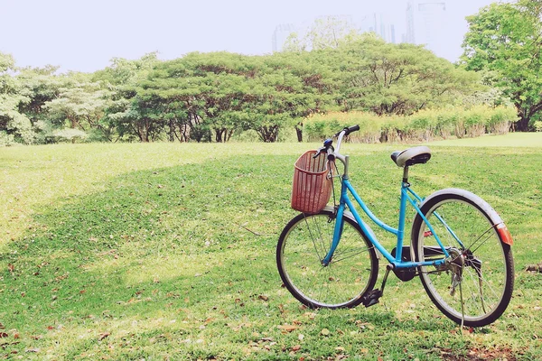 Bicicleta no gramado — Fotografia de Stock