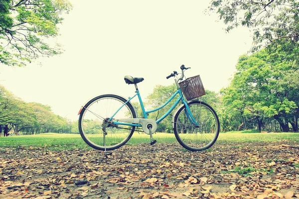 Bicicleta esperando perto da árvore — Fotografia de Stock