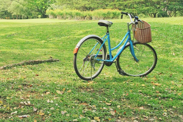 Bicycle on the lawn — Stock Photo, Image