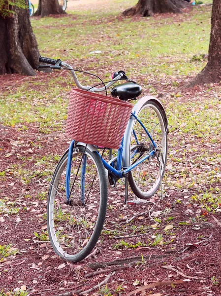 Vintage Bisiklet ağacında vintage retro sesi yakınındaki bekliyor
