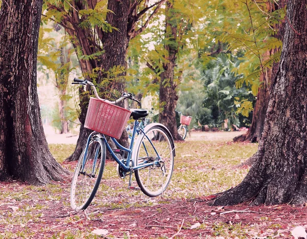 Vintage Bisiklet ağacında vintage retro sesi yakınındaki bekliyor — Stok fotoğraf