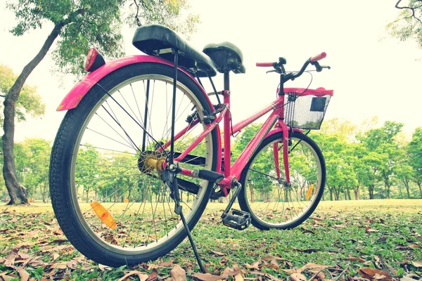 Bicycle waiting near tree — Stock Photo, Image
