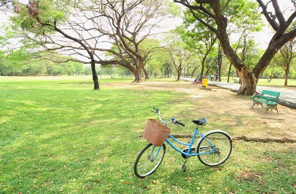 Fahrrad wartet neben Baum — Stockfoto