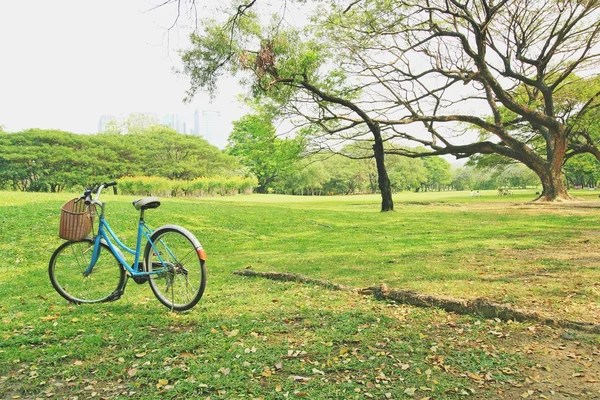 Fahrrad wartet neben Baum — Stockfoto