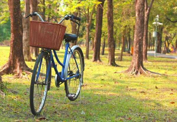 Rower starodawny czeka w pobliżu drzewa — Zdjęcie stockowe