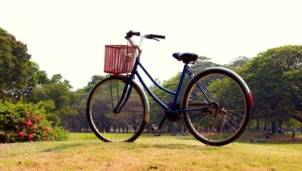 Винтажный велосипед ждет возле дерева — стоковое фото