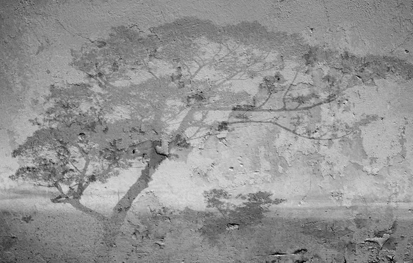 Sombra de árvore em uma parede branca, foco suave — Fotografia de Stock