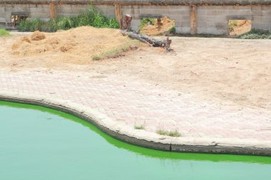 Timsahlar için çiftlikte gölet