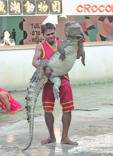 Show de crocodilo, Tailândia — Fotografia de Stock