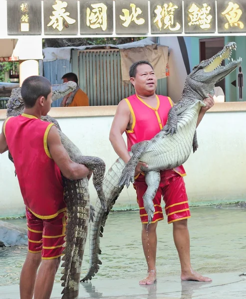 Show de crocodilo, Tailândia — Fotografia de Stock