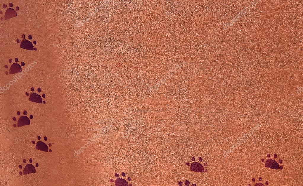 Textura De La Pared De Estuco Inconsutil Foto De Stock C Gap