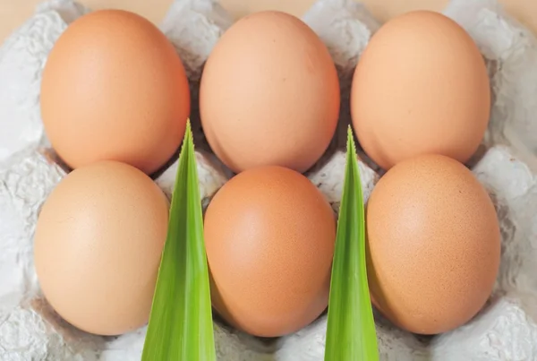 Huevos de pollo frescos en bandeja —  Fotos de Stock