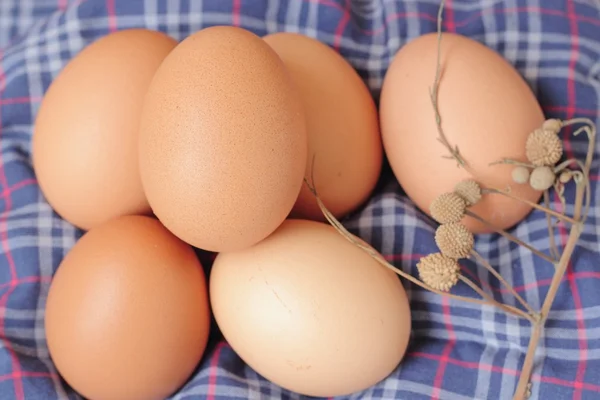 Huevos de pollo frescos en bandeja, enfoque suave —  Fotos de Stock