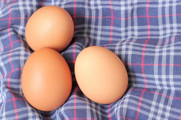 Huevos de pollo frescos en bandeja, enfoque suave —  Fotos de Stock