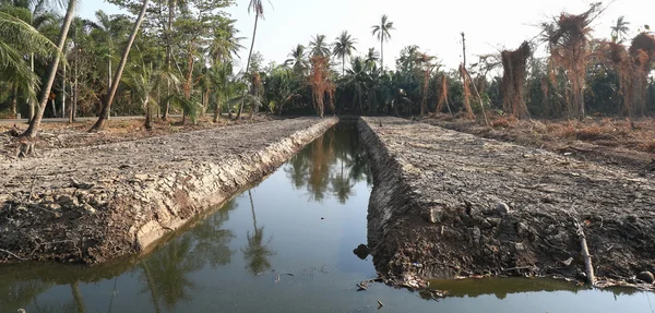 Cracks in the dried soil — Stock Photo, Image