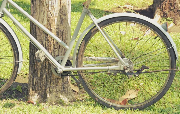 Rowerowych czeka w pobliżu drzewa — Zdjęcie stockowe