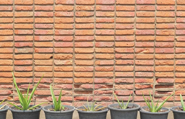 Fundo de parede de tijolo vermelho velho — Fotografia de Stock