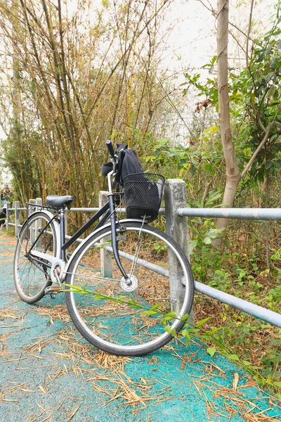 Bicicleta esperando perto da árvore no parque, vintage tom retro — Fotografia de Stock