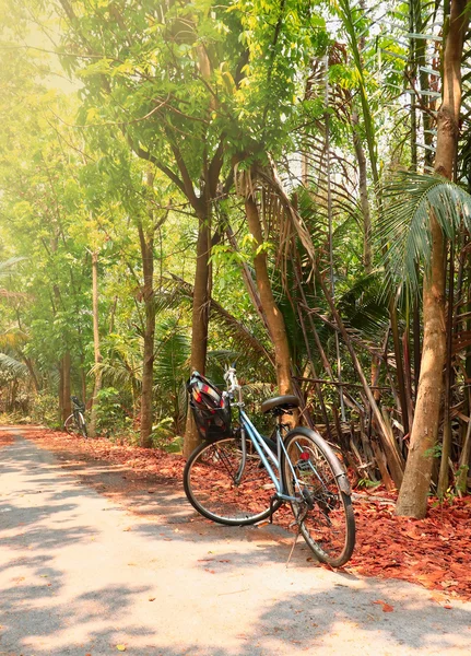 Велосипед, що чекає біля дерева в парку, вінтажний ретро тон — стокове фото
