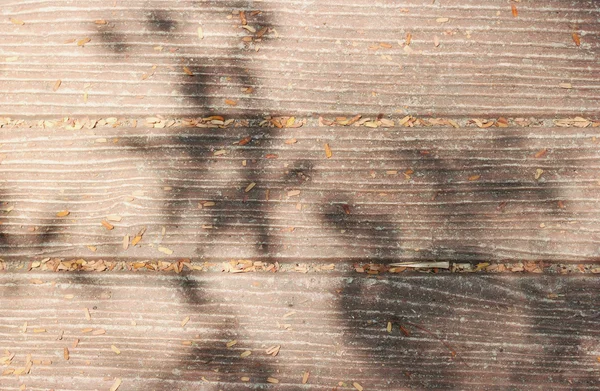 Sombra de las hojas en el suelo de piedra — Foto de Stock