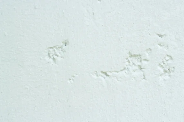 Grunge τσιμεντένιος τοίχος — Φωτογραφία Αρχείου