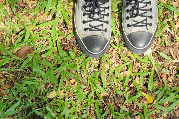Sports shoes sneakers on fresh green grass — Stock Photo, Image