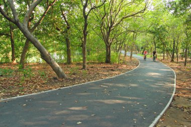 Yaz yolu yanında ağaçlarla