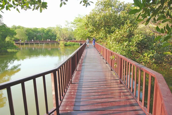 Holzbrücke im tropischen Wald — Stockfoto