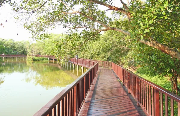 Holzbrücke im tropischen Wald — Stockfoto