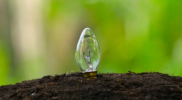 Light bulb glowing in soil as idea or energy concept — Stock Photo, Image