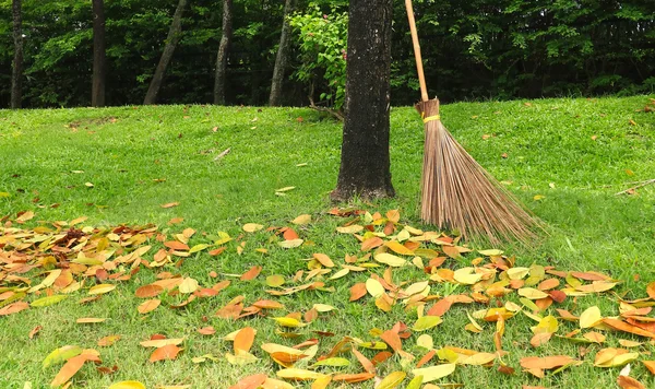 Escoba hecha de hoja de coco en el jardín — Foto de Stock