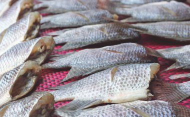 tuzlu balık kuru veya kurutulmuş balık Asya Tayland