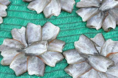 tuzlu balık kuru veya kurutulmuş balık Asya Tayland