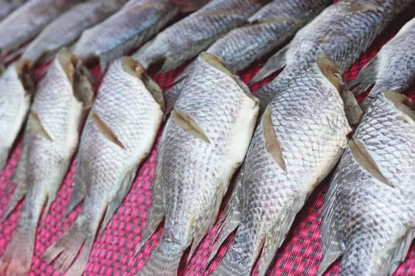 Peixes salgados secos ou secos na Tailândia da Ásia — Fotografia de Stock