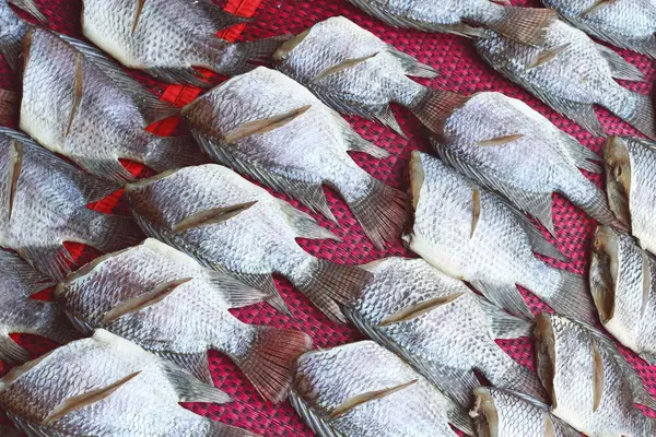 Peixes salgados secos ou secos na Tailândia da Ásia — Fotografia de Stock
