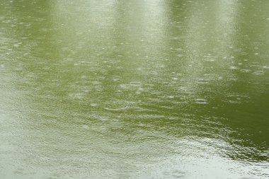 yağmurlu bir gün ve su doku