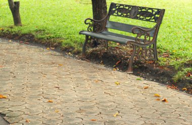 taş kaldırım doku sonbahar bahçe içinde