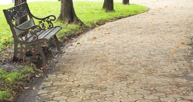 Sonbahar bahçedeki ağacın altında tezgah