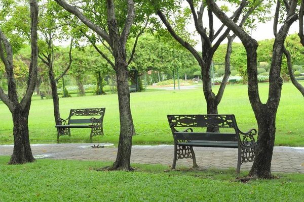 Скамейка под деревом в осеннем саду — стоковое фото