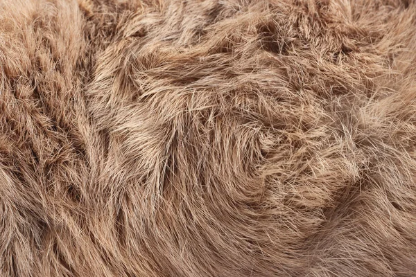 Rabbit fur as background — Stock Photo, Image