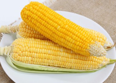 Beyaz plaka üzerinde taze Mısır