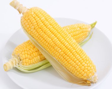 Beyaz arkaplanda taze mısır
