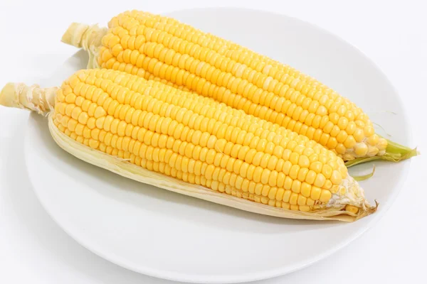 Свежая кукуруза на белом фоне — стоковое фото