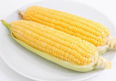 Beyaz arkaplanda taze mısır